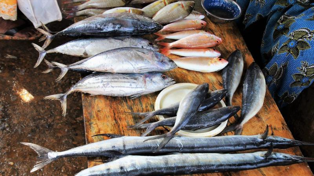 Manfaat Ikan untuk Kesehatan: Nutrisi yang Membuat Tubuh Lebih Sehat